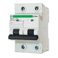 Автоматичний вимикач FB3-125 2P D 63A 15kA EVO