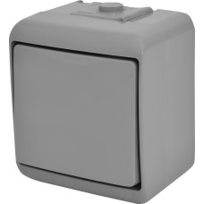 Вимикач 1-клавішний VHE-1-SR (сірий, IP54)