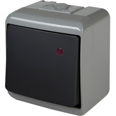 Вимикач 1-клавішний із підсвічуванням VHE-1L-SRG (сіро-графіт., IP54)