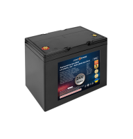 Аккумулятор LP LiFePO4 24V - 50 Ah (BMS 60A/30А) пластик для ИБП