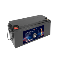 Аккумулятор LP LiFePO4 24V - 100 Ah (BMS 60A/30А) пластик для ИБП